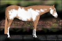 Horse Color:Chestnut Frame