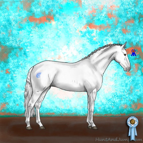 Horse Color:Gray Bay Dun 