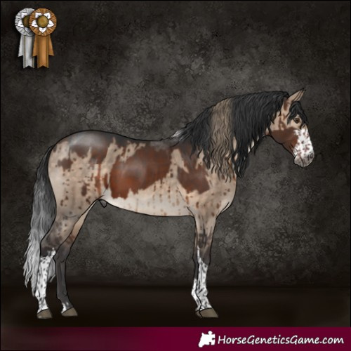 Horse Color:Gray White Spotted Liver Chestnut Mushroom and Bay Dun Tobiano Brindle