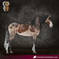 Horse Color:Gray White Spotted Liver Chestnut Mushroom and Bay Dun Tobiano Brindle