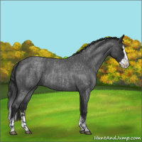 Horse Color:Blue Roan Sabino Splash  and Blue Roan Sabino Splash 