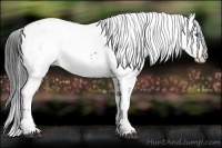 Horse Color:Black Frame 