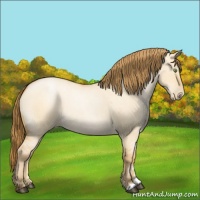 Horse Color:Bay Roan Pearl Dun 