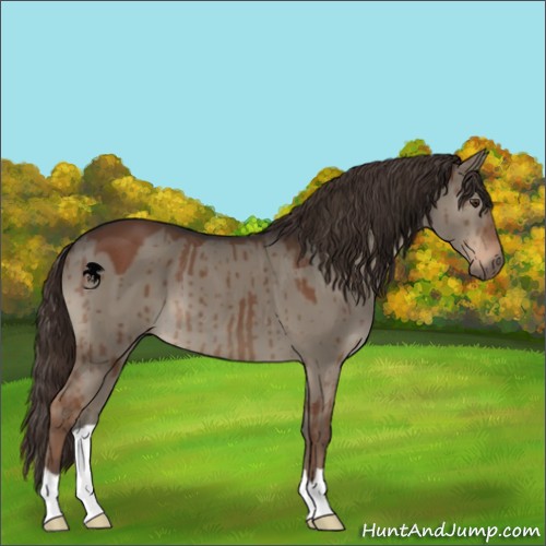 Horse Color:Liver Red Dun Brindle 