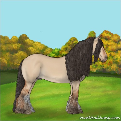 Horse Color:Bay Dun 