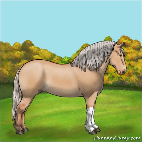 Horse Color:Silver Bay Dun