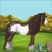 Horse Color:Liver Chestnut Frame 