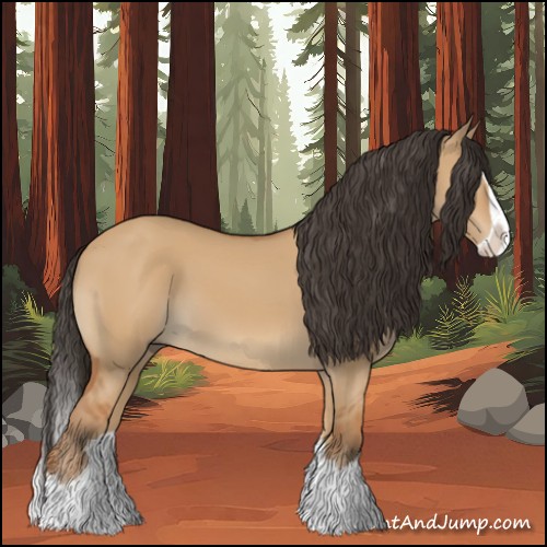 Horse Color:Bay Dun Splash 