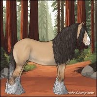 Horse Color:Bay Dun Splash 