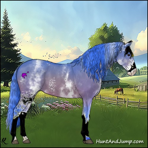 Horse Color:Watercolor White Spotted Bay Dun