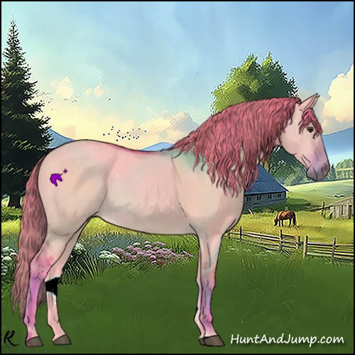 Horse Color:Watercolor Red Dun Sabino 