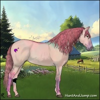 Horse Color:Watercolor Red Dun Sabino 