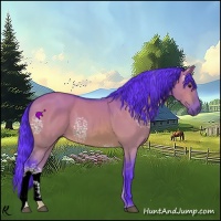 Horse Color:Watercolor White Spotted Bay Dun 