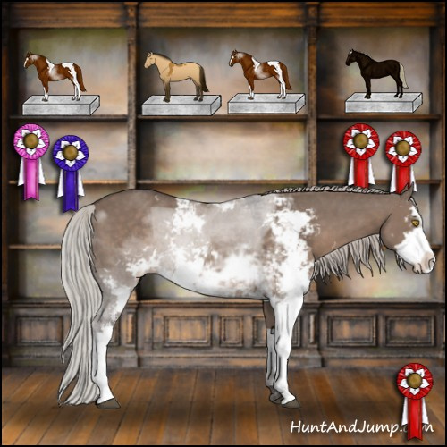 Horse Color:Silver Grullo Sabino