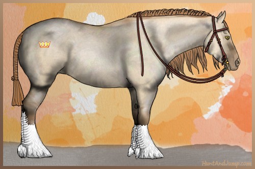 Horse Color:Bay Roan Pearl Dun Sabino 
