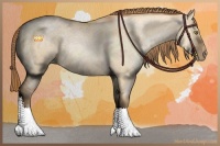 Horse Color:Bay Roan Pearl Dun Sabino