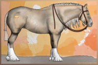 Horse Color:Palomino Pearl Sabino 