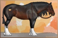 Horse Color:Brown Sabino 