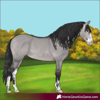 Horse Color:Platinum Brown Dun Sabino 