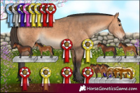 Horse Color:Bay Dun 