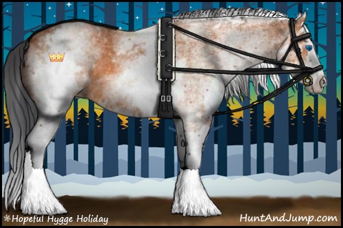 Horse Color:White Spotted Bay Splash 