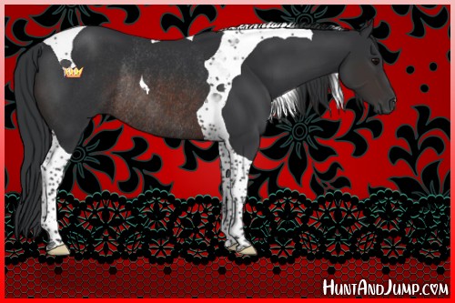 Horse Color:Brown Tobiano Rabicano