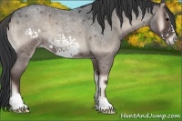 Horse Color:Blue Onyx Roan Frame 