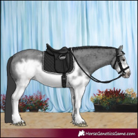 Horse Color:White Spotted Blue Ice Roan Frame