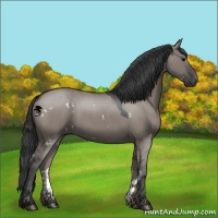 Horse Color:White Spotted Grullo Roan 