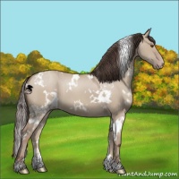 Horse Color:White Spotted Classic Champagne Dun 