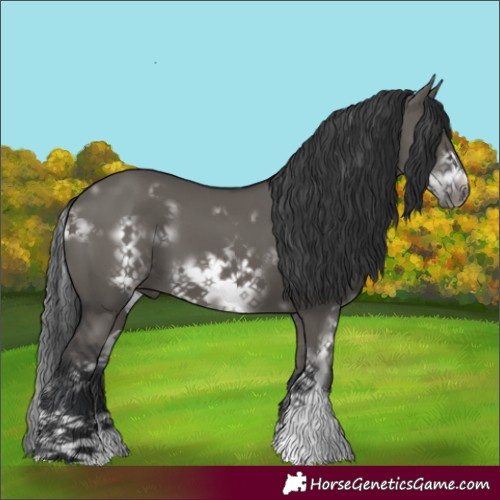 Horse Color:White Spotted Grullo Sabino Frame