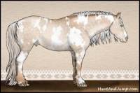 Horse Color:White Spotted Silver Buckskin Pearl 