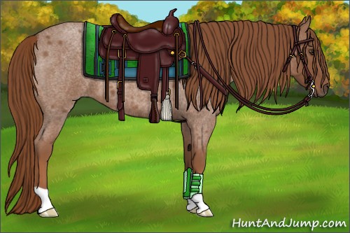 Horse Color:Red Roan 