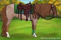 Horse Color:Red Roan 
