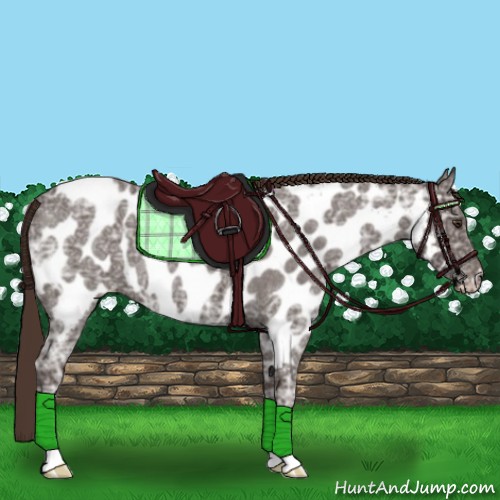 Horse Color:Liver Red Ice Roan Appaloosa 