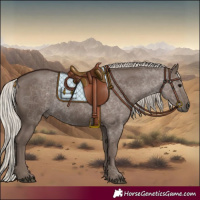 Horse Color:Silver Black 