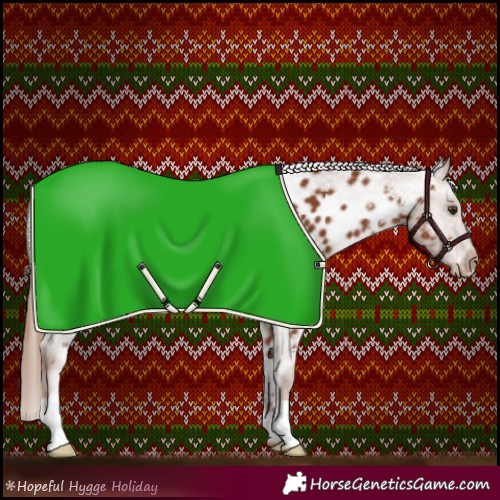 Horse Color:Chestnut Appaloosa 