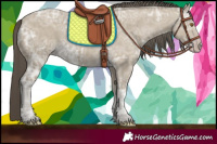 Horse Color:Classic Cream Champagne Ice 