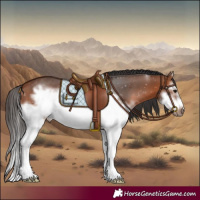 Horse Color:White Spotted Bay Splash Frame