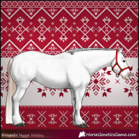 Horse Color:Bay Snowflake Varnish 