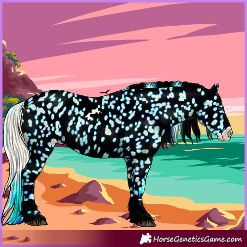 Horse Color:Palomino Near Leopard Rabicano