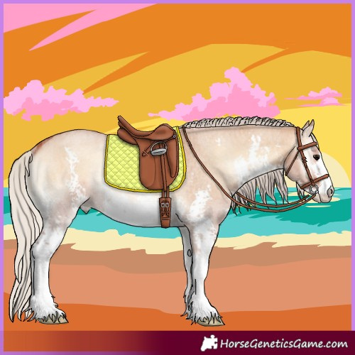 Horse Color:Silver Bay Roan Onyx Sabino Rabicano 