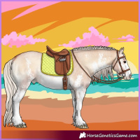 Horse Color:Silver Bay Roan Onyx Sabino Rabicano