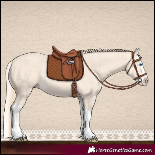 Horse Color:Perlino Splash 