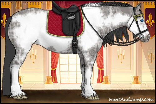 Horse Color:Grullo Ice Frame 