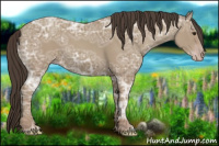 Horse Color:Classic Champagne Ice 
