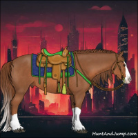 Horse Color:Chestnut Splash Rabicano