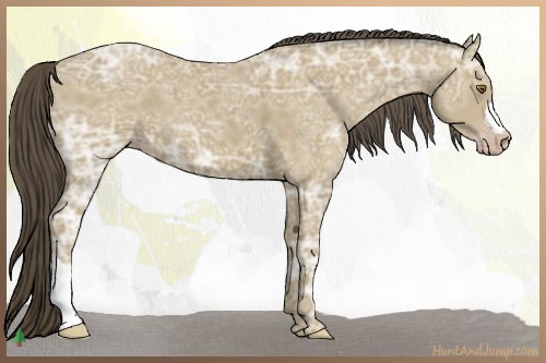 Horse Color:Classic Cream Champagne Ice 