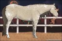 Horse Color:Classic Cream Champagne Ice 