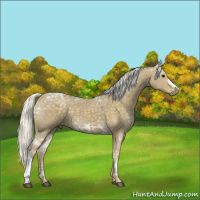Horse Color:Silver Smoky Black Ice 